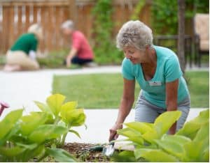Lady gardening