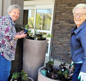 348258383 214178548068664 2095512592877230113 n