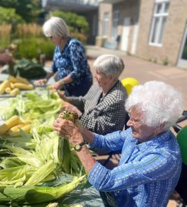 Older women with white hair shucking corn outside