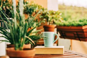 Spring Decorating Tips for Your Retirement Suite - All Seniors Care Cozy summer balcony with many potted plants, cup of tea and old vintage book