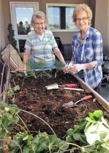 Houseplants: 6 Surprising Benefits For Seniors - All Seniors Care Two senior women with short grey hair standing behind a raised garden bed.