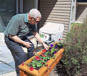 Victoria Landing gardening